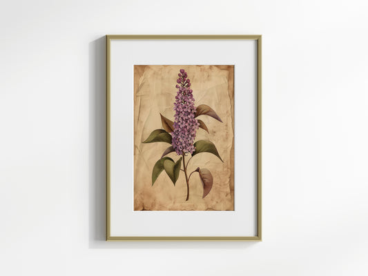 Ewiger Frühling: Lilac von Fiona Aisling- Purple Lilac, Art Collector, Vintage, Floral Art, Vintage Illustration