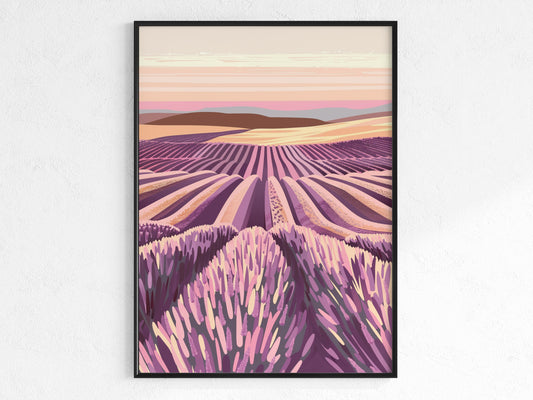 Lavendelfelder in geometrischer Harmonie- harmony, tranquility, contemporary art, France, lavender