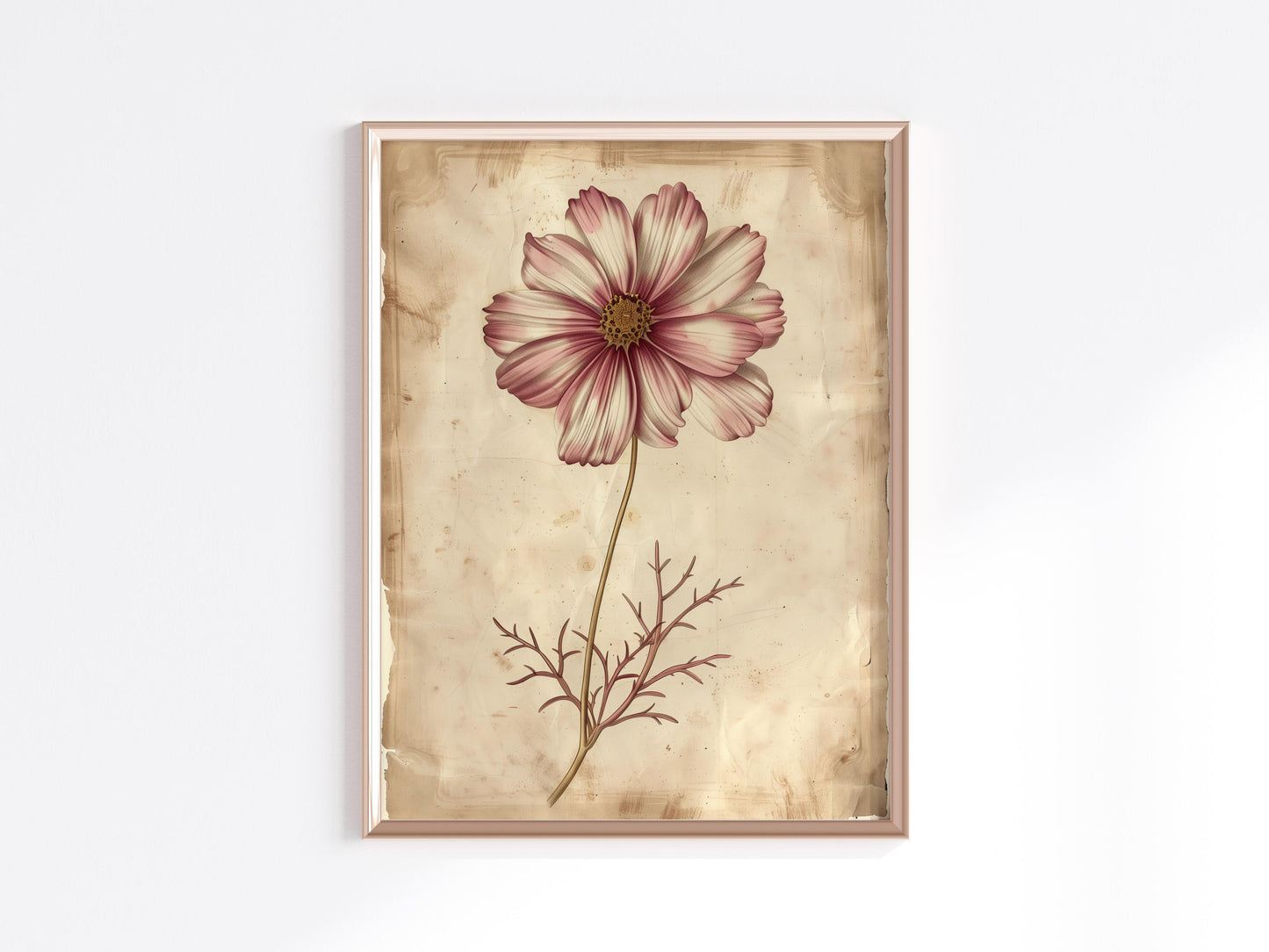 Harmonie der Natur: Die Kosmosblüte- home decor, historical style, Fiona Aisling, white shades, symbol of order